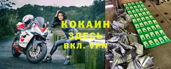 дживик Липки