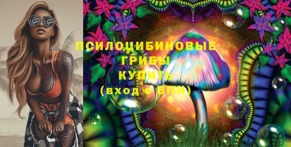 дживик Липки