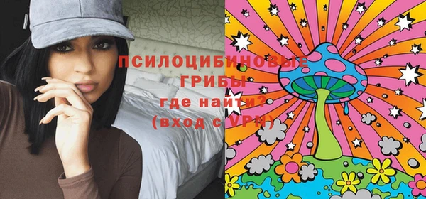 гидра Лихославль