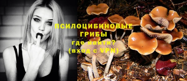 дживик Липки