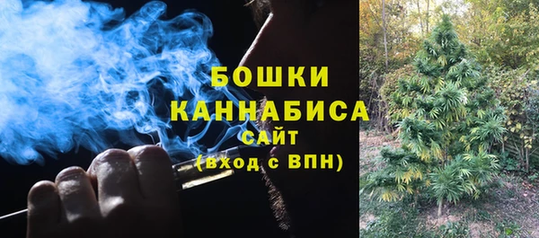 дживик Липки