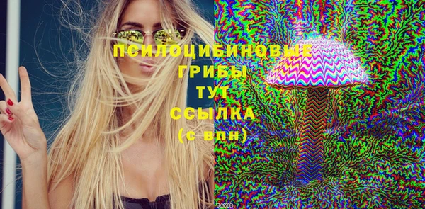 гидра Лихославль