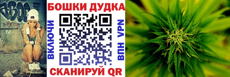 Купить где  Мамадыш  Шишки марихуана ГИДРОПОН 